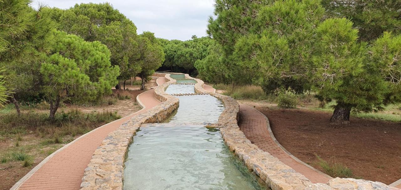 Ferienwohnung Torrevieja Bagian luar foto