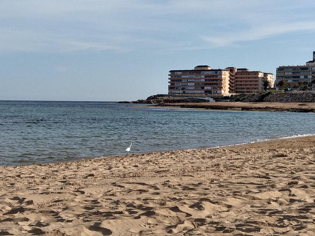 Ferienwohnung Torrevieja Bagian luar foto
