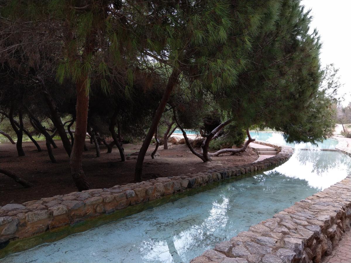 Ferienwohnung Torrevieja Bagian luar foto